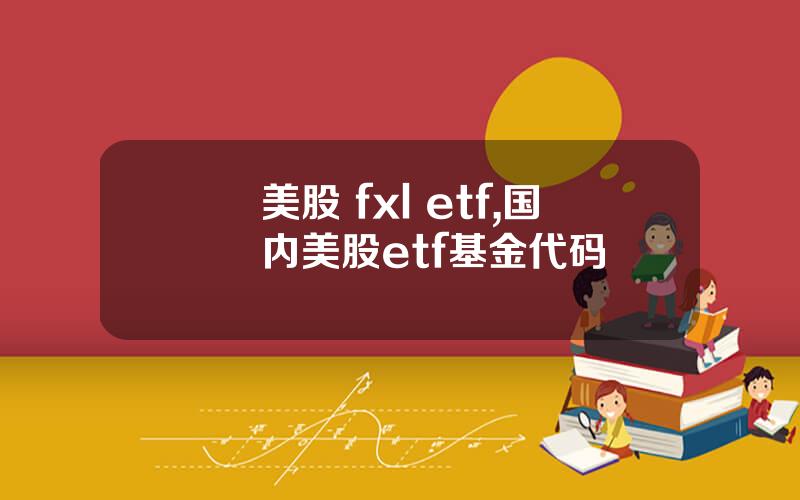 美股 fxl etf,国内美股etf基金代码